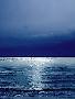Just the Print