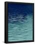 Essential Black