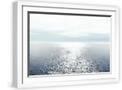 White Frame