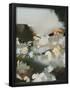 Essential Black