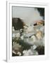 Gramercy White