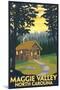 Maggie Valley, North Carolina - Cabin Scene-Lantern Press-Mounted Art Print