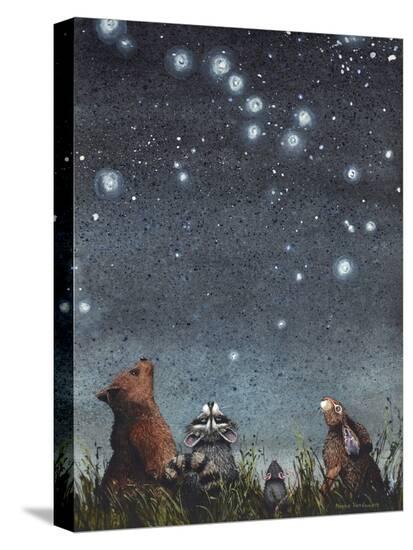 Stretched Canvas Print, , large