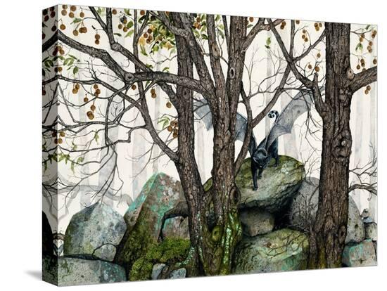 Stretched Canvas Print, , large