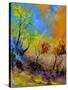 Magic Autumn in the Wood-Pol Ledent-Stretched Canvas