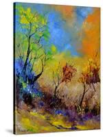 Magic Autumn in the Wood-Pol Ledent-Stretched Canvas