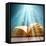 Magic Book of Knowledge-Remains-Framed Stretched Canvas