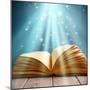 Magic Book of Knowledge-Remains-Mounted Photographic Print