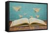 Magic Book with Paper Plane-jannoon028-Framed Stretched Canvas