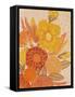 Magic Bouquet-Alisa Galitsyna-Framed Stretched Canvas