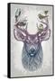 Magic Buck-Rachel Caldwell-Framed Stretched Canvas