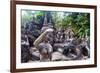 Magic Buddha Garden-iunewind-Framed Photographic Print