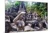 Magic Buddha Garden-iunewind-Mounted Photographic Print