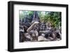 Magic Buddha Garden-iunewind-Framed Photographic Print