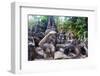 Magic Buddha Garden-iunewind-Framed Photographic Print