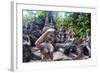 Magic Buddha Garden-iunewind-Framed Photographic Print