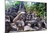 Magic Buddha Garden-iunewind-Mounted Photographic Print