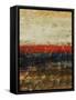 Magic Carpet III-Jodi Maas-Framed Stretched Canvas