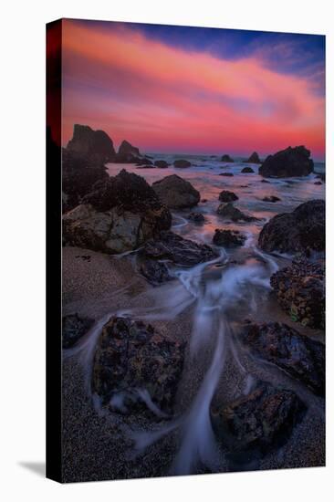 Magic Darkness Sonoma Coast and Morning Fire, Bodega Bay California-Vincent James-Stretched Canvas