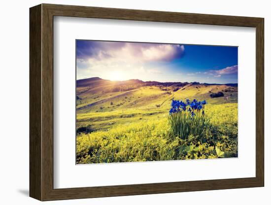 Magic Flowers in Mountain Landscape with Dramatic Overcast Sky. Carpathian, Ukraine, Europe. Beauty-Leonid Tit-Framed Photographic Print