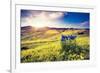 Magic Flowers in Mountain Landscape with Dramatic Overcast Sky. Carpathian, Ukraine, Europe. Beauty-Leonid Tit-Framed Photographic Print