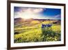 Magic Flowers in Mountain Landscape with Dramatic Overcast Sky. Carpathian, Ukraine, Europe. Beauty-Leonid Tit-Framed Photographic Print