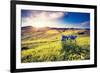 Magic Flowers in Mountain Landscape with Dramatic Overcast Sky. Carpathian, Ukraine, Europe. Beauty-Leonid Tit-Framed Photographic Print