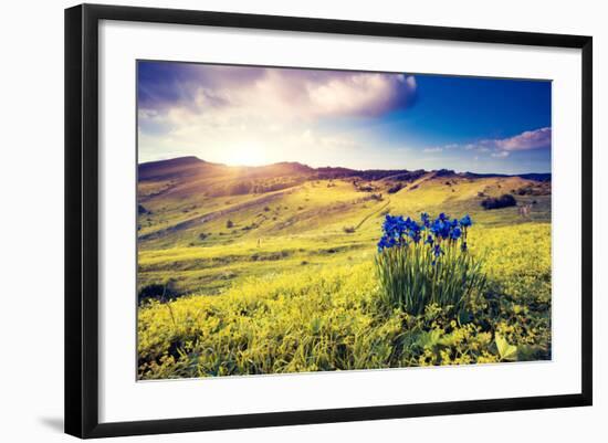 Magic Flowers in Mountain Landscape with Dramatic Overcast Sky. Carpathian, Ukraine, Europe. Beauty-Leonid Tit-Framed Photographic Print