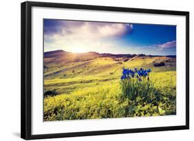 Magic Flowers in Mountain Landscape with Dramatic Overcast Sky. Carpathian, Ukraine, Europe. Beauty-Leonid Tit-Framed Photographic Print