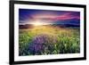 Magic Flowers in Mountain Landscape with Dramatic Overcast Sky. Carpathian, Ukraine, Europe. Beauty-Leonid Tit-Framed Photographic Print