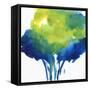 Magic Foliage I-Joyce Combs-Framed Stretched Canvas