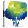 Magic Foliage I-Joyce Combs-Stretched Canvas