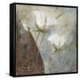 Magic Garden IV-Patricia Pinto-Framed Stretched Canvas