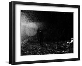Magic in the Woods-Sharon Wish-Framed Photographic Print