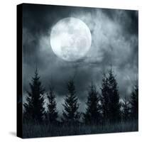 Magic Landscape with Pine Tree Forest under Dramatic Cloudy Sky at Full Moon Mysterious Night-Perfect Lazybones-Stretched Canvas