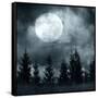 Magic Landscape with Pine Tree Forest under Dramatic Cloudy Sky at Full Moon Mysterious Night-Perfect Lazybones-Framed Stretched Canvas