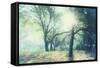 Magic Light-Viviane Fedieu Daniel-Framed Stretched Canvas