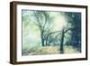 Magic Light-Viviane Fedieu Daniel-Framed Photographic Print