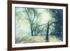 Magic Light-Viviane Fedieu Daniel-Framed Photographic Print