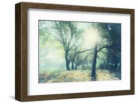 Magic Light-Viviane Fedieu Daniel-Framed Photographic Print