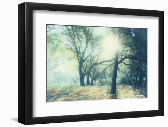 Magic Light-Viviane Fedieu Daniel-Framed Photographic Print