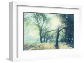 Magic Light-Viviane Fedieu Daniel-Framed Photographic Print