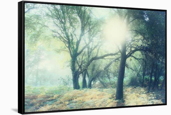 Magic Light-Viviane Fedieu Daniel-Framed Stretched Canvas