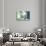 Magic Light-Viviane Fedieu Daniel-Stretched Canvas displayed on a wall