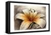 Magic Lily-Art and a Little Magic-Framed Stretched Canvas