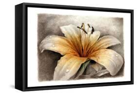 Magic Lily-Art and a Little Magic-Framed Stretched Canvas