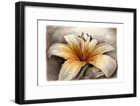Magic Lily-Art and a Little Magic-Framed Giclee Print