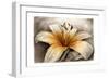 Magic Lily-Art and a Little Magic-Framed Giclee Print