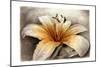 Magic Lily-Art and a Little Magic-Mounted Giclee Print