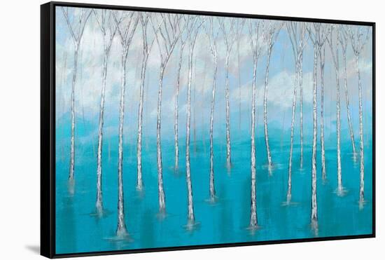 Magic Marshes-Herb Dickinson-Framed Stretched Canvas